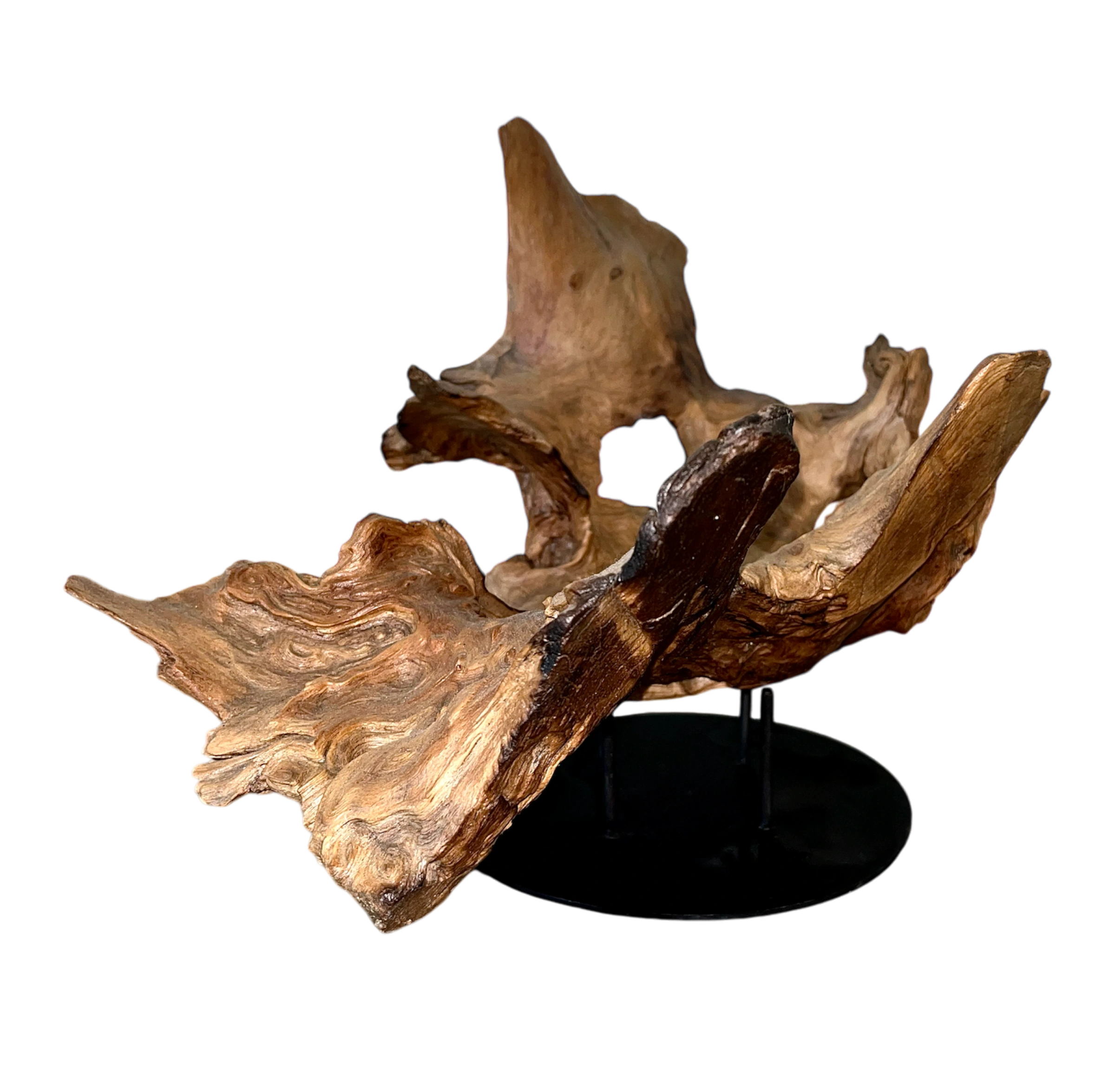 Natural Art Decoration